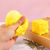 Mini Animal Squishy Toys Set